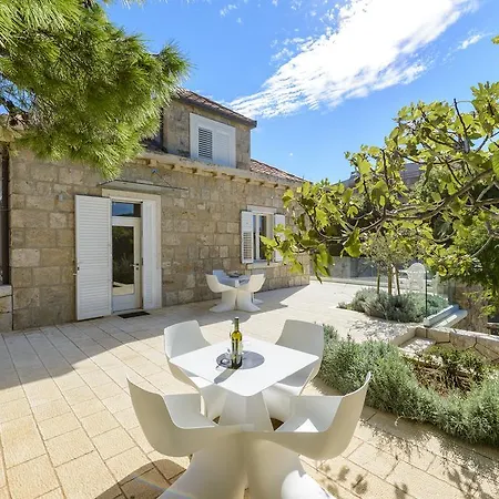 Holiday Rosemary * Dubrovnik