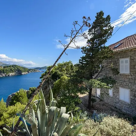Holiday Rosemary Holiday home